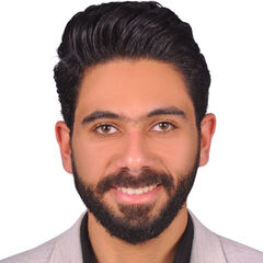 Ibrahim Allam, Senior Budget & Cost Accountant 
