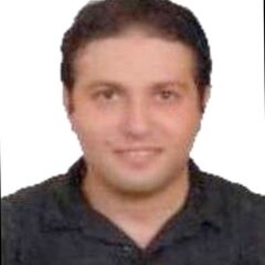 Alaa Ahmed, accountant