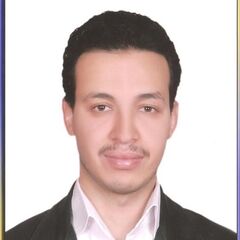 محمد طه, Key Account Manager