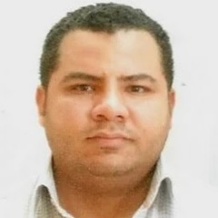 Ahmed Abd Elhamid Mohammed Shata, QS Manager