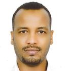 محمد سيداحمد محمد الخضر الخضر, Accounting