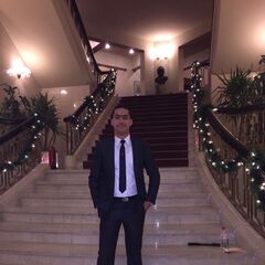 Mohamed Walaa, appeal lawyer