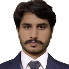 Syed Salman Ali