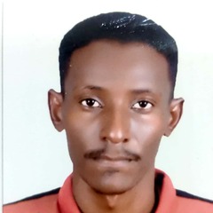 Ali Mohamed, Armed Security Guard
