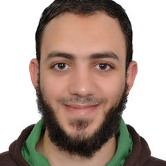Ahmed Salem, Senior Software Developer