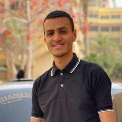Mohamed Mansour, Date entry 