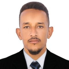 Ahmed Elsayed Alamin Mohamed Mohamed, General Banking Accountant