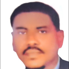 Tarig  Gamalaldien Mohamed Osman 