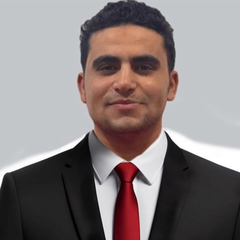 Mahmoud  Salem