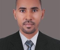محمد محمود البناني, استاذ جامعي متعاقد