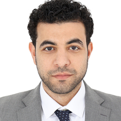 محمد عبد الغنى, Audit Manager
