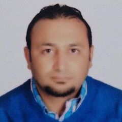 محمود عبد الفتاح احمد حسن, Site Civil Engineer