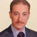 Ayman Mostafa El Seadawi, Internal Auditing Manager