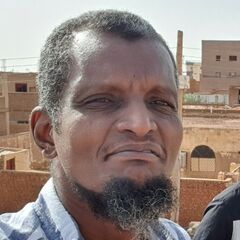  أحمد حسن محمد أحمد, Project Manager (Consultant)
