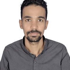 mohammed عبدالمطلب ابو الوفا