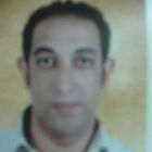 Mohammed Sami Mahmoud Ibrahim, مسئول مبيعات