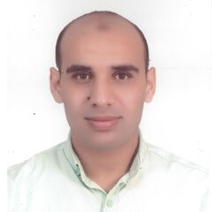 ibrahim hamdeen al gwily, Electrical Engineer