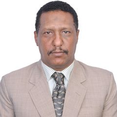 Ammar Ali, I.T. Manager