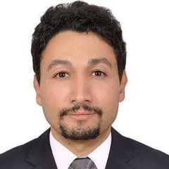 Moulay Amine, JAVA/J2EE analyst & developer