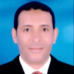هشام alkirdani, Senior Relocation Consultant