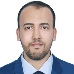 Omar Abdel Aziz, Sr. Accountant