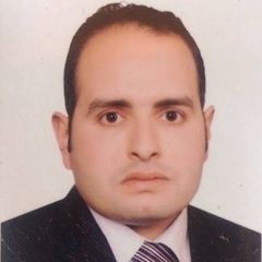 حسام الليثي, مدير تنفيذي