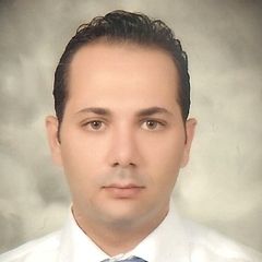 Mostafa naf, Business Development Executive