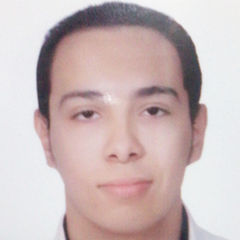 Mohamed Emad Eldeen Mohamed Alaraby Ameen