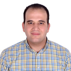 Ahmed Elsayed, Project Manager