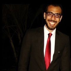Ahmed Mahmoud, Digital campaign Manager