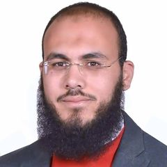 مصطفى حمزة, كاتب صحفي وباحث سياسي ومدير مركز دراسات الإسلام السياسي بالقاهرة