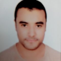 أحمد هلال  محمد, Freelance  interpreter