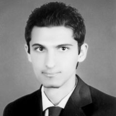 Mohammed Nour Hajjat, Teacher, Computer Technical
