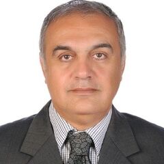 هشام e'Sharqawy, Sr. Manager