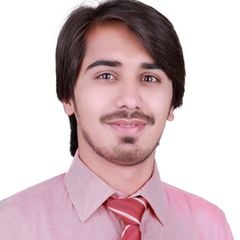 Waqas Rasheed, Officer Application Support Analyst