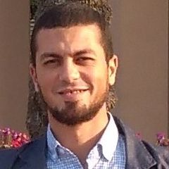 محمد صبحي محمد على, Technical Support Expert