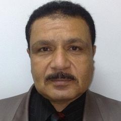 Mahmoud Mohammed Salem Rizq Salem