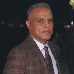 Farid Elsftawy, مدير تسويق ومبيعات