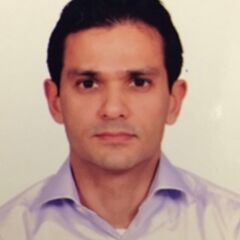 Vinayak  Shourie, Chief Executive Officer