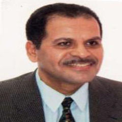 Wafik Sayed, Managing director
