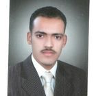 ابراهيم عبد المحسن ابراهيم مرسى, Tax Manager