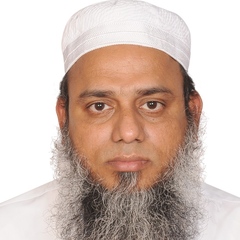 Ibrahim M Mehedi , Electrical Engineering Professor