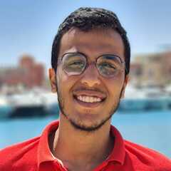 Ahmed Mohamed Mahmoud Abdel-Rahim Rahim, Senior Business Analyst