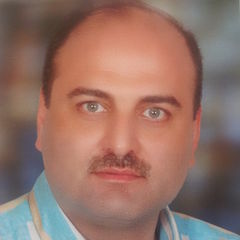 ammar dababou, consultant