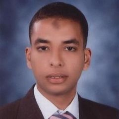 Ayman Mohamed Aboelhamd Metwally, مهندس صيانة