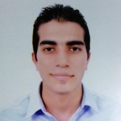 Abd elmoez Mohamed Ali Sayed Ahmed Kandeel, Receptionist