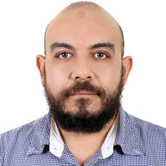 سامح محمد عبد المحسن, Group Financial Controller