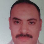 محمد خالد عبد الوارث, Inpatients services manager 4 depts