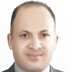 Mohamed abdularazeq, GIS Project Manager