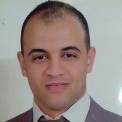 أحمد الرغى, Microsoft Dynamics AX function Consultant (Trad & Logistics)